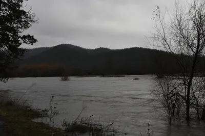 DSC_5792 (Large).JPG